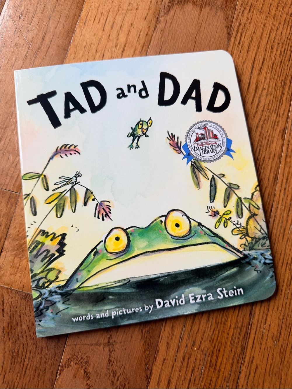 Tad and Dad by David Ezra Stein, Dolly Parton's Imagination Library